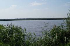 DSC06312