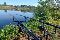 IMG_20240824_083110521_HDR